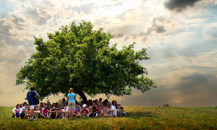 Niños cuidando los bosques